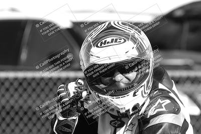 media/Feb-23-2025-2WTD (Sun) [[9604a77d5d]]/1-Around the Pits/